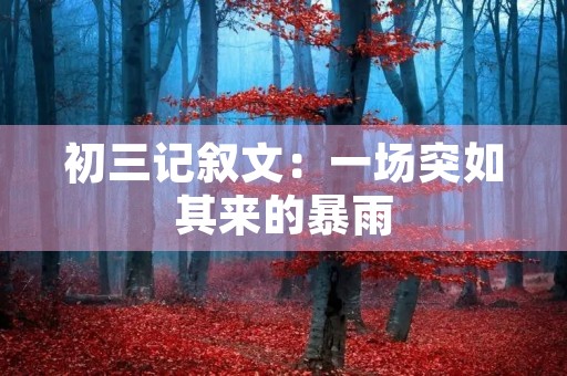 初三记叙文:一场突如其来的暴雨 初三记叙文:一场突如其来的暴雨