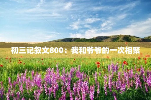初三记叙文800:我和爷爷的一次相聚 初三记叙文800:我和爷爷的一次相聚
