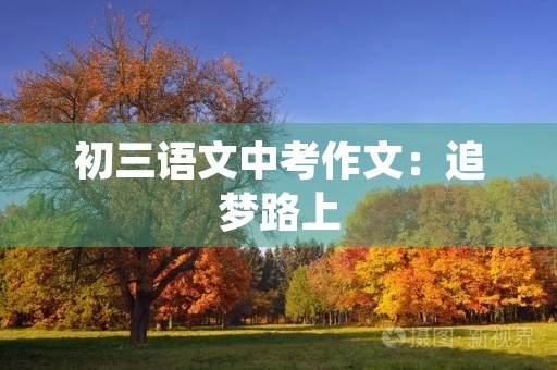 初三语文中考作文：追梦路上