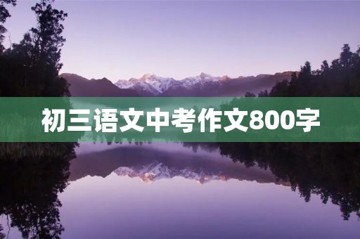 初三语文中考作文800字 初三语文中考作文800字