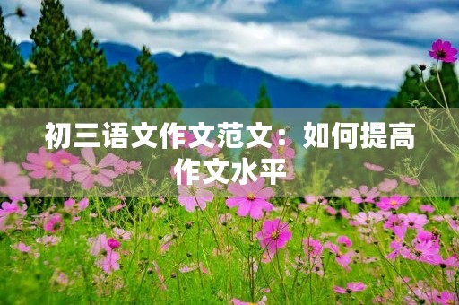 初三语文作文范文:如何提高作文水平 初三语文作文范文:如何提高作文水平