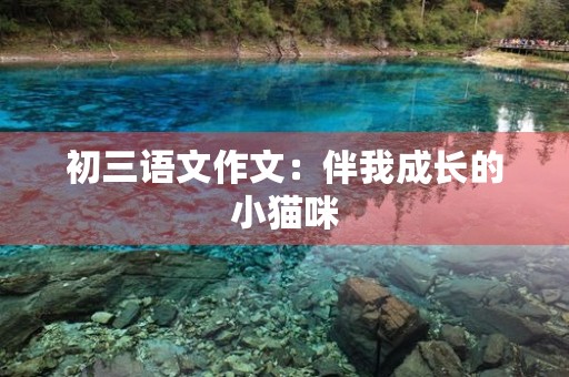 初三语文作文:伴我成长的小猫咪 初三语文作文:伴我成长的小猫咪
