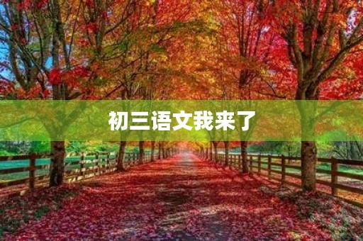 初三语文我来了