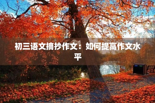 初三语文摘抄作文：如何提高作文水平