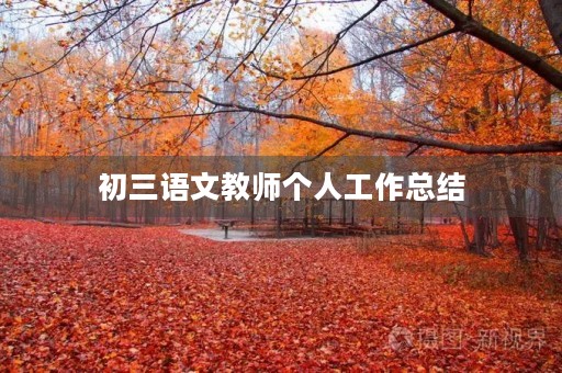 初三语文教师个人工作总结