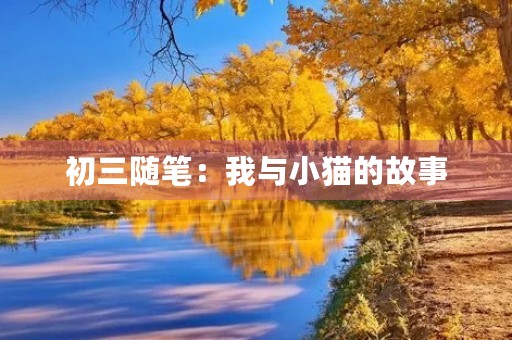 初三随笔：我与小猫的故事