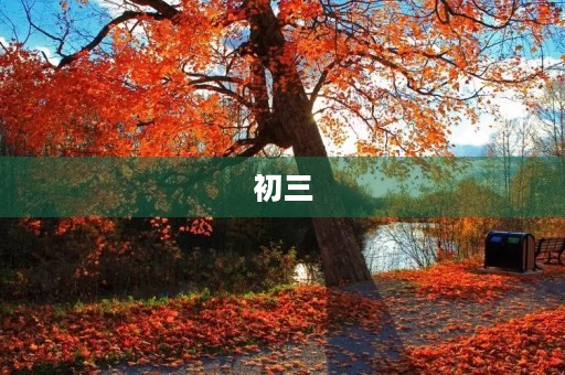 初三，你来了！