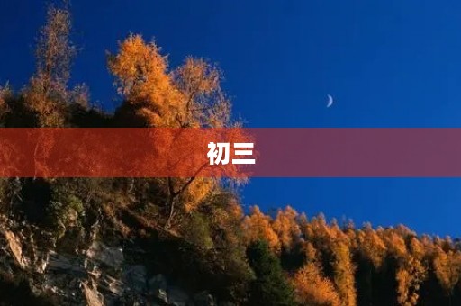 初三，再见！