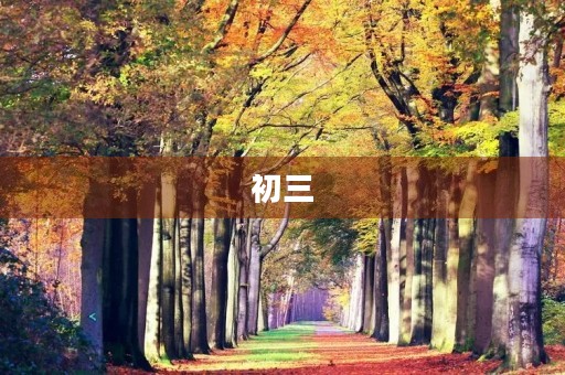 初三，成长的里程碑