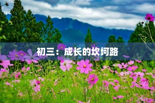 初三:成长的坎坷路 初三:成长的坎坷路