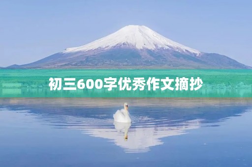 初三600字优秀作文摘抄