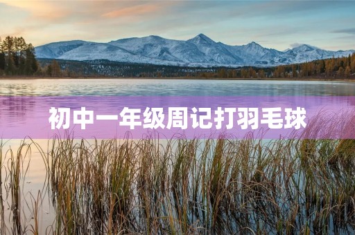 初中一年级周记打羽毛球