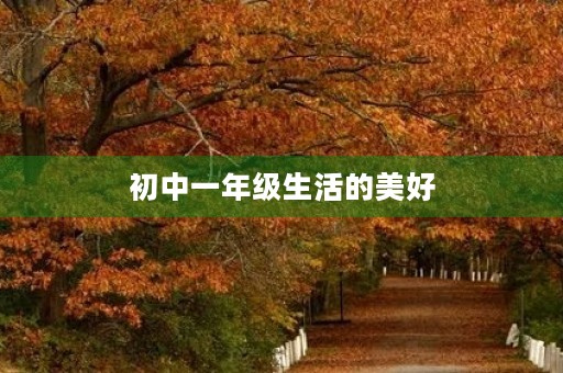 初中一年级生活的美好