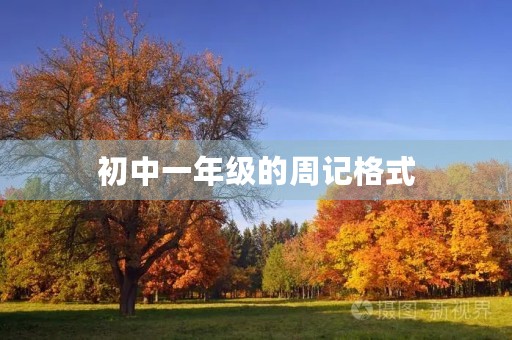 初中一年级的周记格式 初中一年级的周记格式