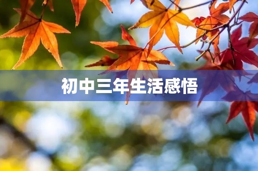 初中三年生活感悟 初中三年生活感悟