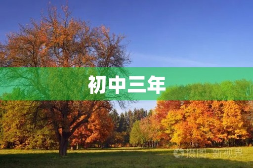 初中三年,青春的风景 初中三年,青春的风景