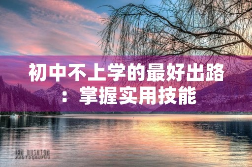 初中不上学的最好出路:掌握实用技能,开创个人事业 初中不上学的最好出路:掌握实用技能,开创个人事业