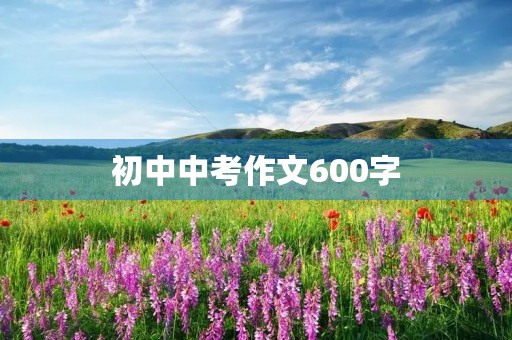 初中中考作文600字
