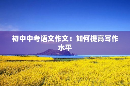 初中中考语文作文:如何提高写作水平 初中中考语文作文:如何提高写作水平