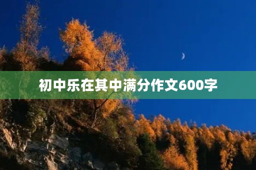 初中乐在其中满分作文600字 初中乐在其中满分作文600字