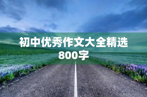 初中优秀作文大全精选800字