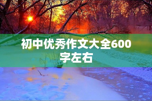 初中优秀作文大全600字左右
