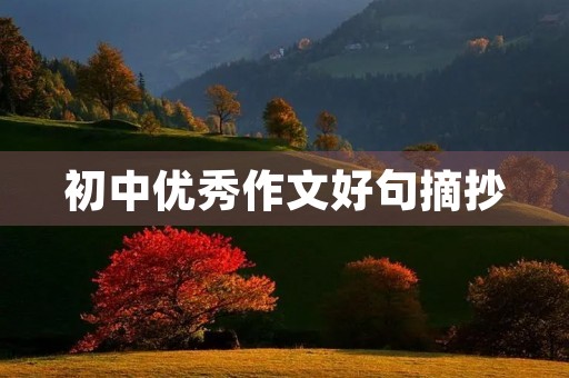 初中优秀作文好句摘抄