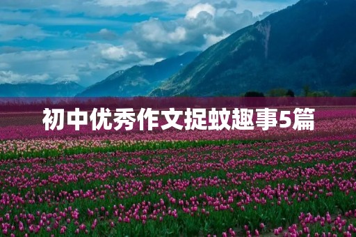 初中优秀作文捉蚊趣事5篇