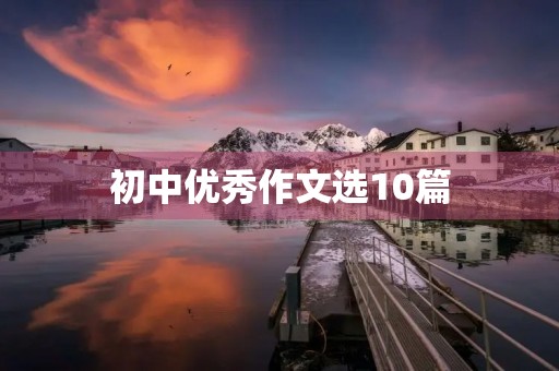 初中优秀作文选10篇