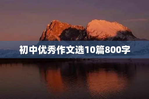 初中优秀作文选10篇800字