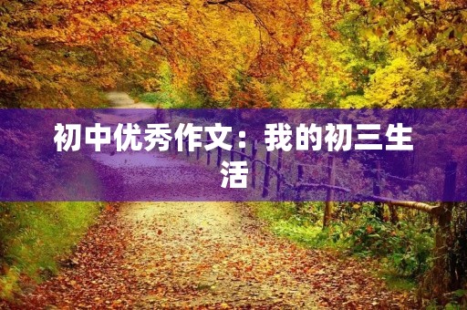 初中优秀作文：我的初三生活