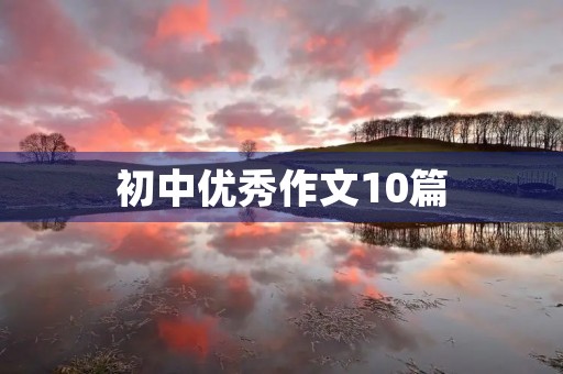 初中优秀作文10篇