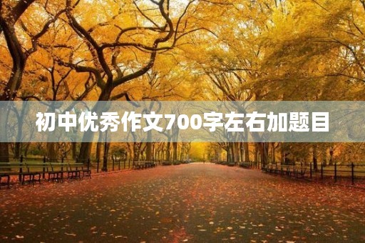 初中优秀作文700字左右加题目