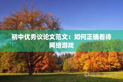 初中优秀议论文范文:如何正确看待网络游戏 初中优秀议论文范文:如何正确看待网络游戏