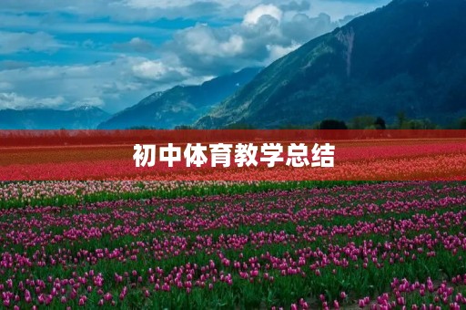 初中体育教学总结