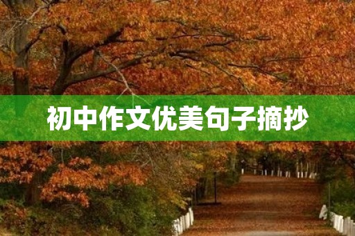 初中作文优美句子摘抄 初中作文优美句子摘抄