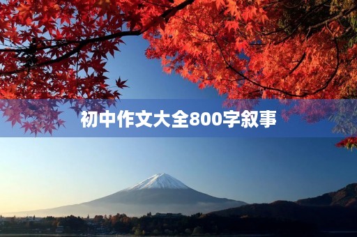 初中作文大全800字叙事 初中作文大全800字叙事