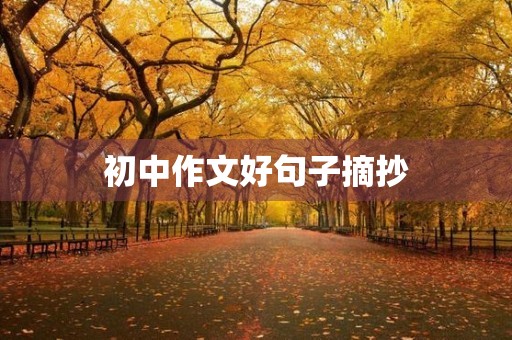 初中作文好句子摘抄 初中作文好句子摘抄