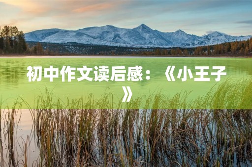 初中作文读后感：《小王子》