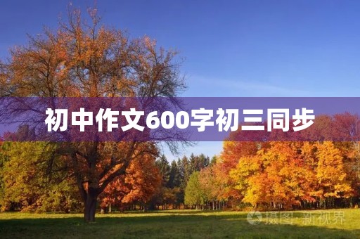 初中作文600字初三同步 初中作文600字初三同步
