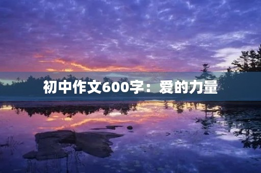 初中作文600字：爱的力量