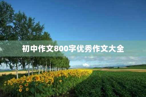 初中作文800字优秀作文大全