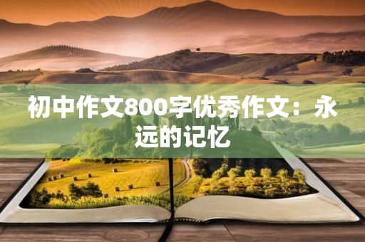 初中作文800字优秀作文:永远的记忆 初中作文800字优秀作文:永远的记忆