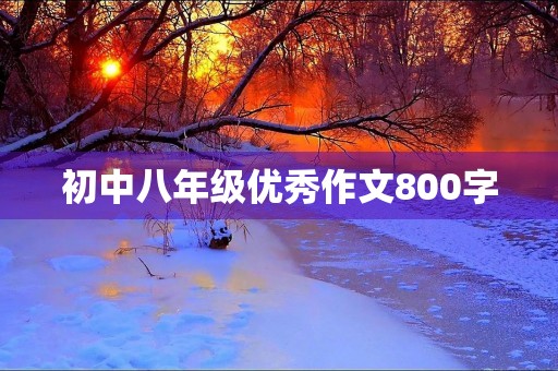 初中八年级优秀作文800字