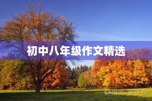 初中八年级作文精选 初中八年级作文精选