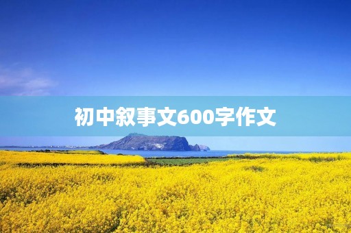 初中叙事文600字作文