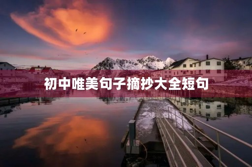 初中唯美句子摘抄大全短句