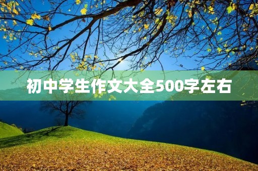 初中学生作文大全500字左右