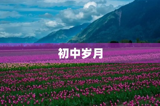 初中岁月，留下了我难以忘怀的回忆。在这段时间里，我不仅学到了知识，更重要的是锻炼了自己的意志力和人际交往能力。