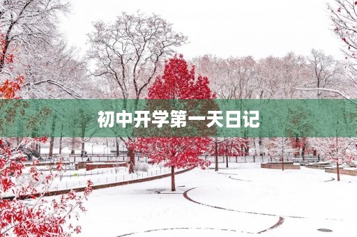 初中开学第一天日记